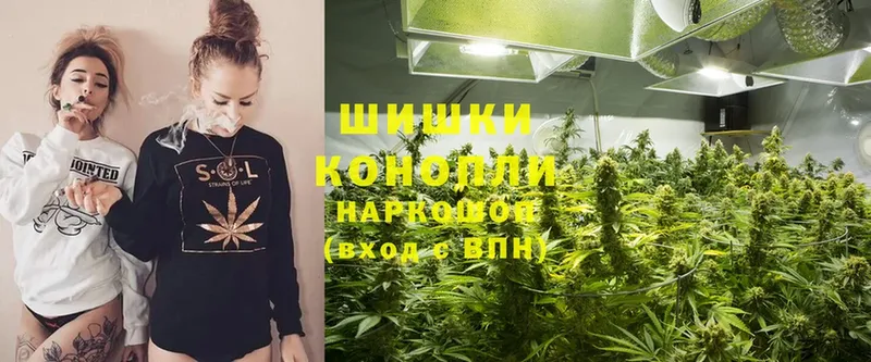 Конопля THC 21%  Козьмодемьянск 